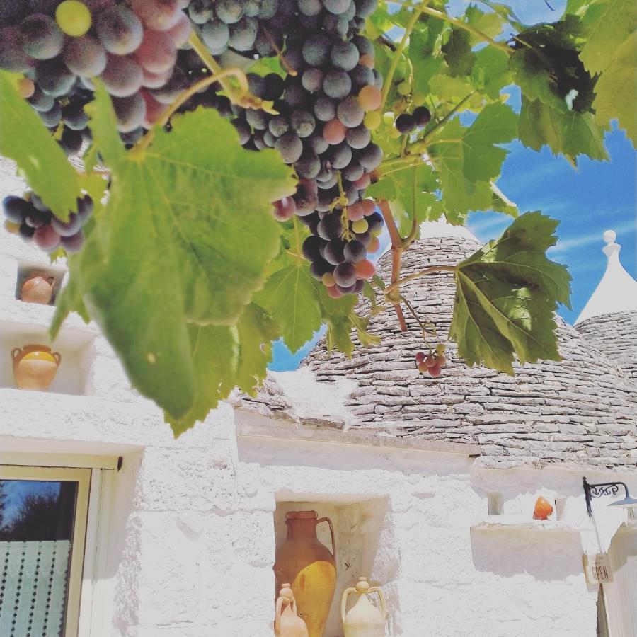 B&B Masseria Nuove Caselle Villa Castelli Ngoại thất bức ảnh