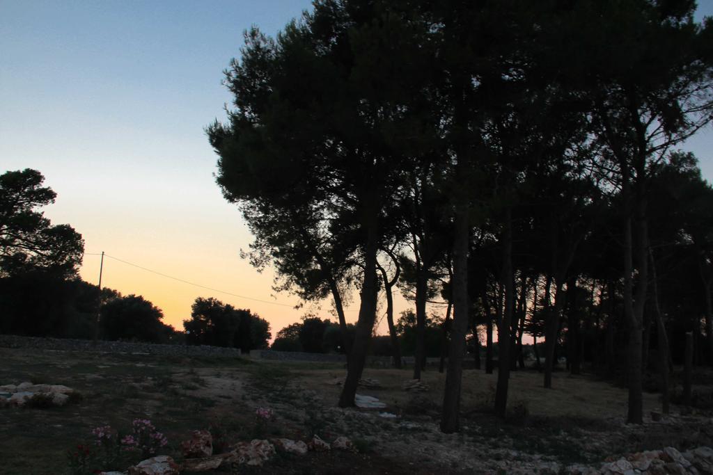 B&B Masseria Nuove Caselle Villa Castelli Ngoại thất bức ảnh